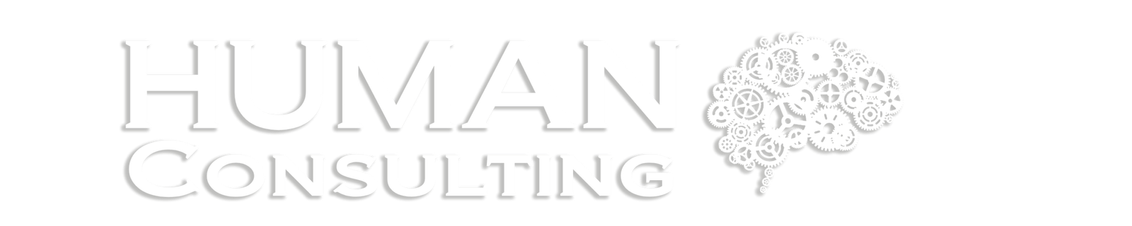 humanconsulting.com.br